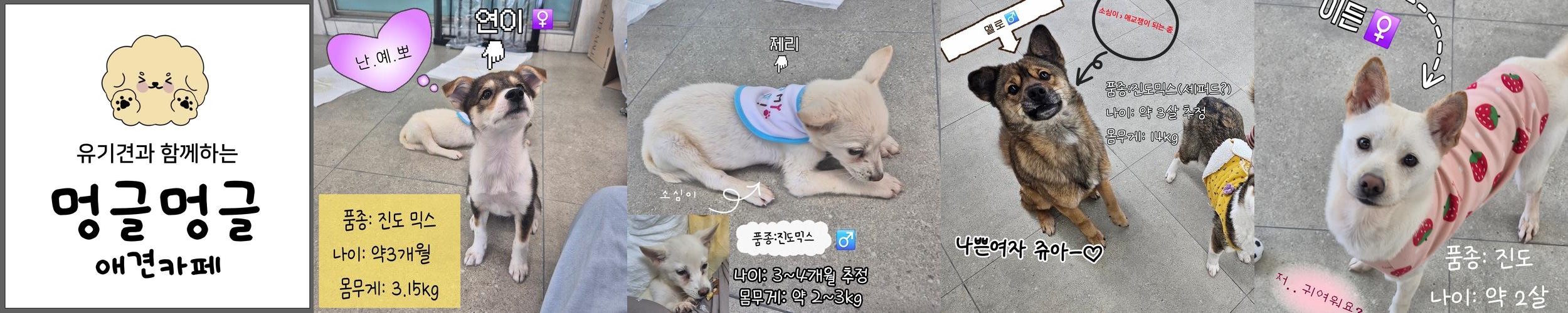 익산 동산동 카페 베스트 추천 리스트 TOP 10