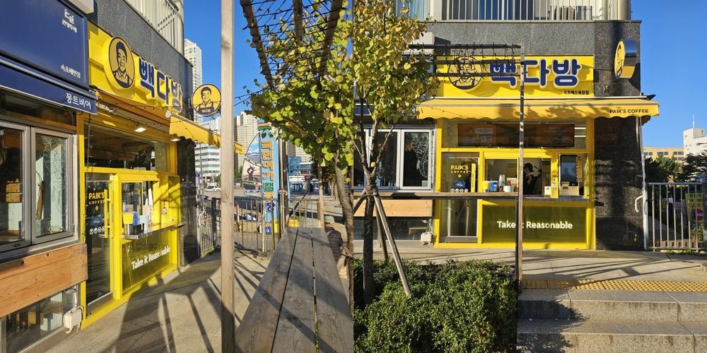 속초해수욕장 카페 베스트 추천 리스트 TOP 10