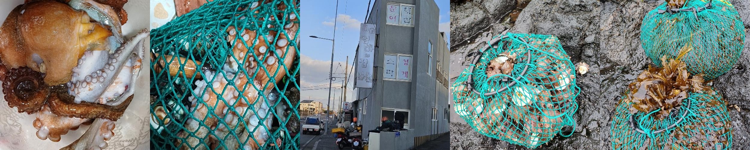 섭지코지 맛집 베스트 추천 리스트 TOP 10