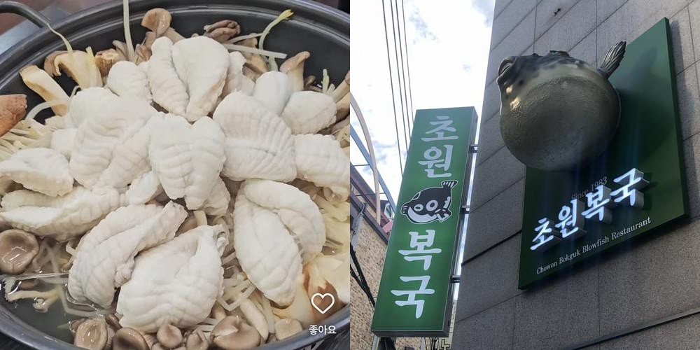 영도 맛집 베스트 추천 리스트 TOP 10