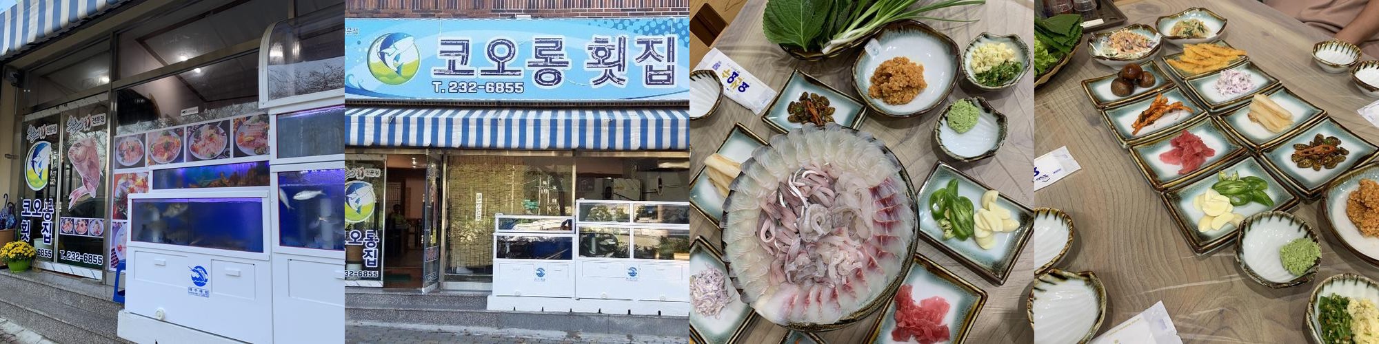 마산 횟집 베스트 추천 리스트 TOP 10