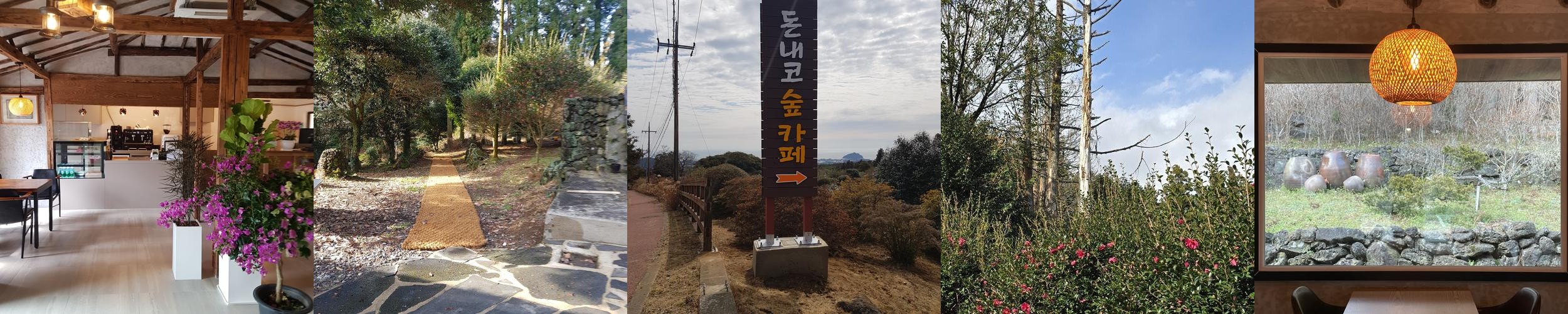 서귀포 카페 베스트 추천 리스트 TOP 10