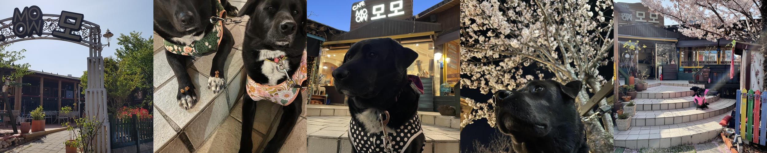 울산 동구 일산지 카페 베스트 추천 리스트 TOP 10