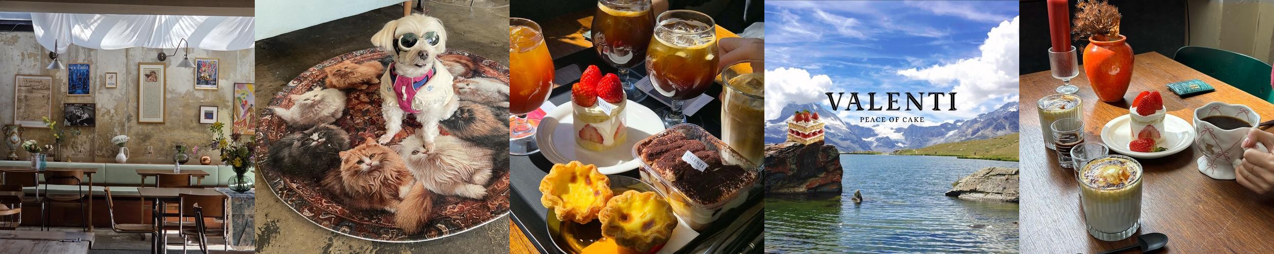 한양대 맛집 베스트 추천 리스트 TOP 10 한양대 맛집 베스트 추천 리스트 TOP 10