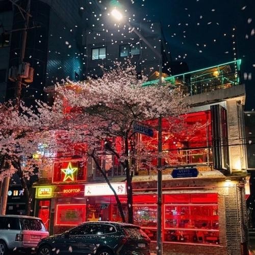 합정동 맛집 베스트 추천 리스트 TOP 10 합정동 맛집 베스트 추천 리스트 TOP 10