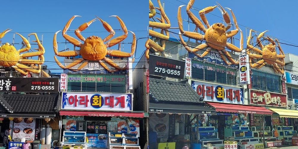 구룡포 대게 맛집 베스트 추천 리스트 TOP 10