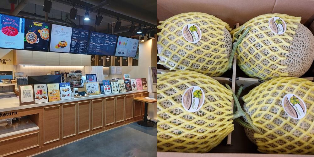 대구 서구 평리동 맛집 베스트 추천 리스트 TOP 10