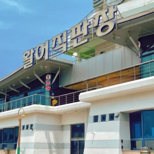 감포 맛집 베스트 추천 리스트 TOP 10 감포 맛집 베스트 추천 리스트 TOP 10