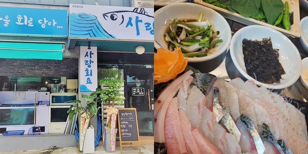 제주 올레시장 횟집 베스트 추천 리스트 TOP 10 제주 올레시장 횟집 베스트 추천 리스트 TOP 10