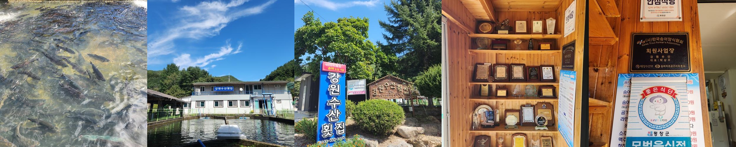 평창 맛집 추천 베스트 리스트 TOP 10