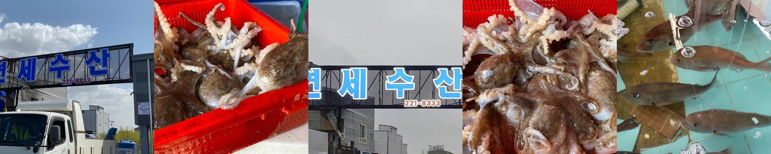 병점 횟집 베스트 추천 리스트 TOP 10 병점 횟집 베스트 추천 리스트 TOP 10
