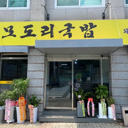 갈마동 식당 베스트 추천 리스트 TOP 10