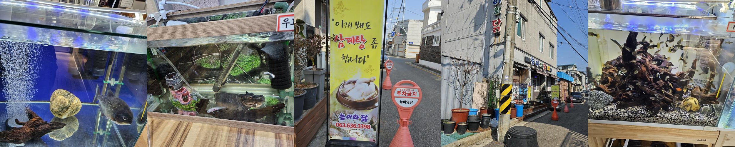 남원시청 맛집 베스트 추천 리스트 TOP 10