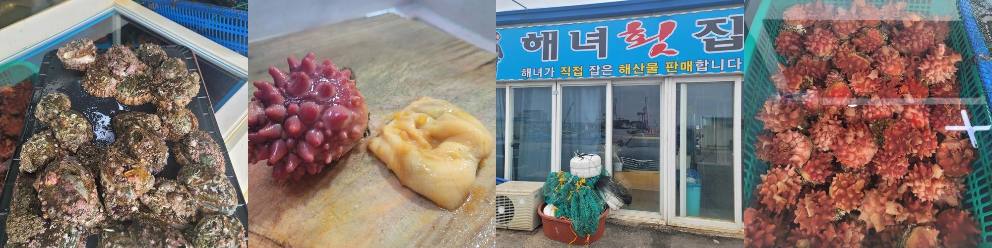 포항 물회 맛집 베스트 추천 리스트 TOP 10