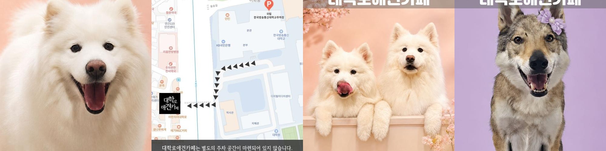 덕양구 대형 카페 베스트 추천 리스트 TOP 10