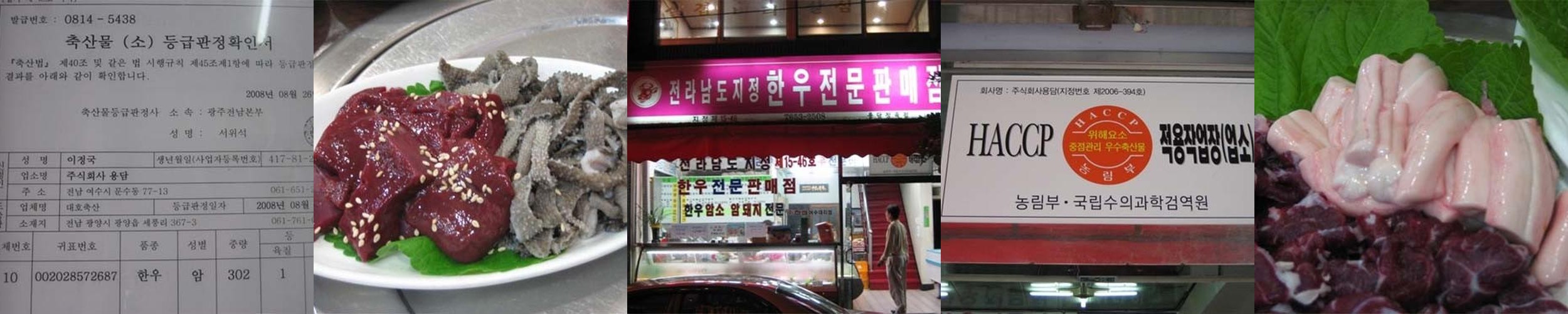 여수 문수동 맛집 베스트 추천 리스트 TOP 10 여수 문수동 맛집 베스트 추천 리스트 TOP 10