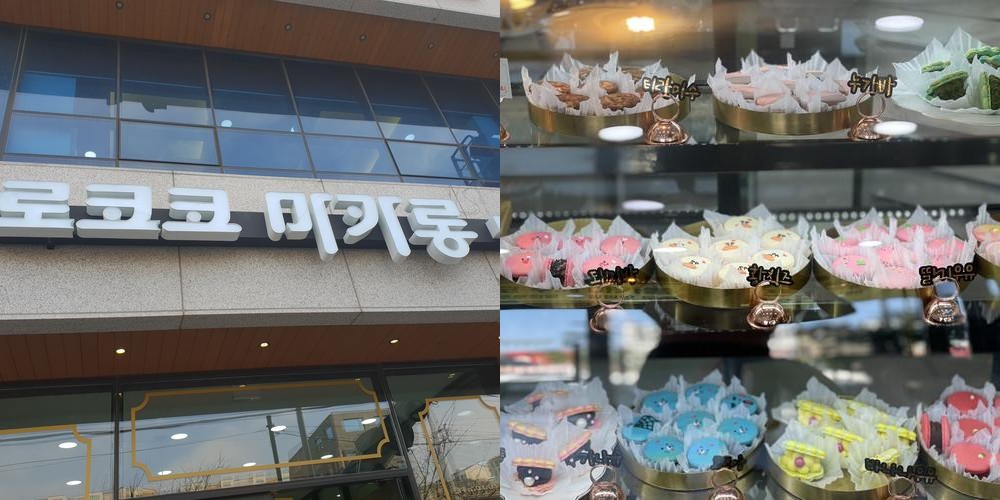 포항 문덕 카페 베스트 추천 리스트 TOP 10