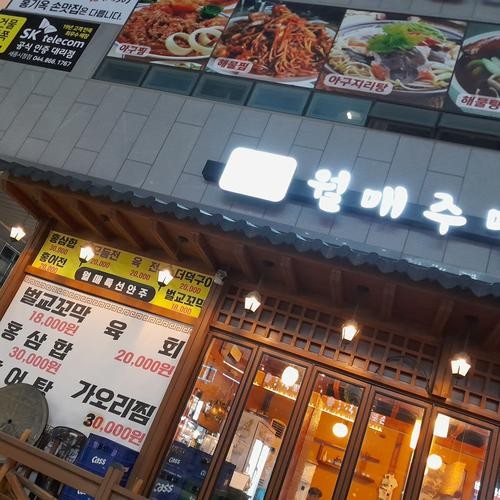보람동 맛집 베스트 추천 리스트 TOP 10 보람동 맛집 베스트 추천 리스트 TOP 10