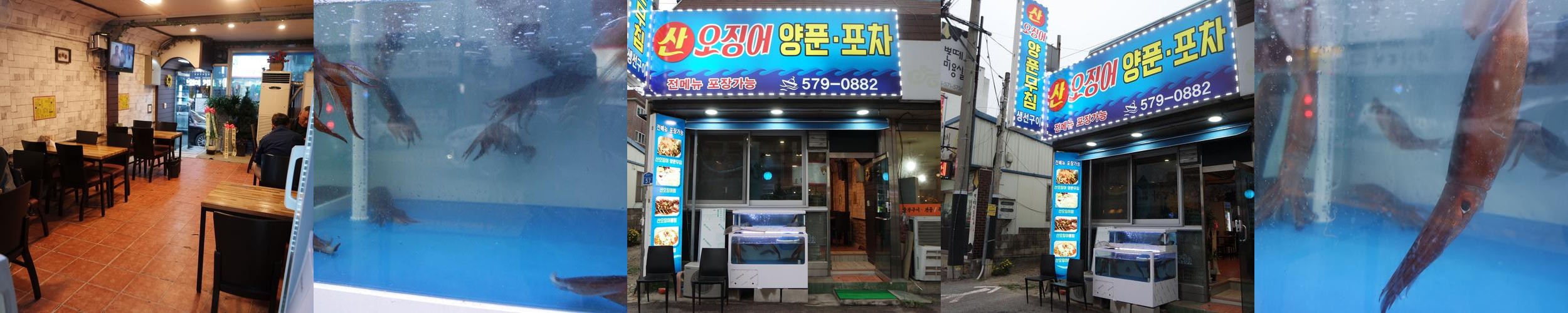 오징어 물회 맛집 베스트 추천 리스트 TOP 10
