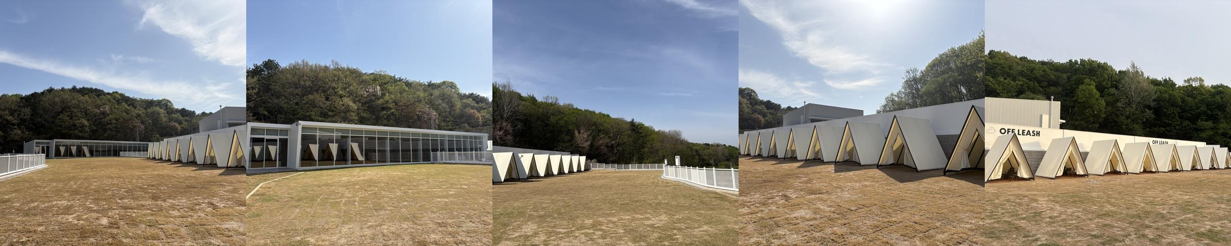 오프리쉬 독파크: 애견과 함께하는 즐거운 수영장|파주 문산 카페 추천 오프리쉬 독파크: 애견과 함께하는 즐거운 수영장